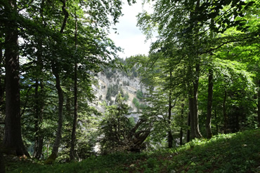 Feierabendrunde auf dem Bike